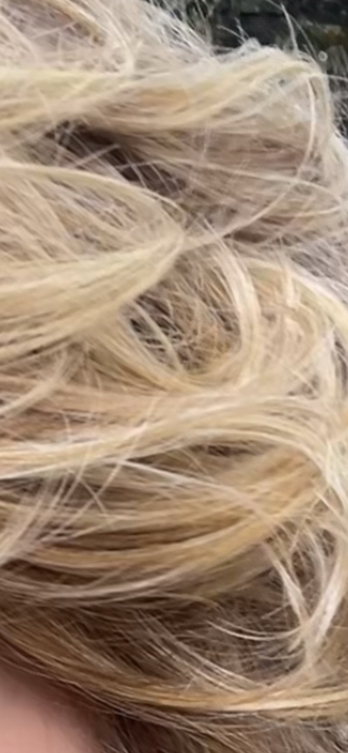 TressAllure Modern Curls in 14/26/R10 Sunset Melt (Open Box)