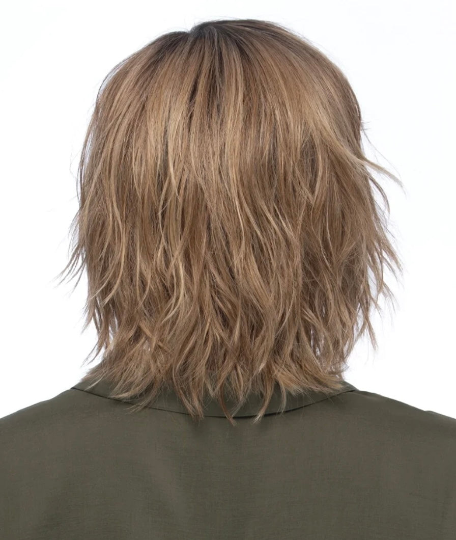 Estetica Hollis